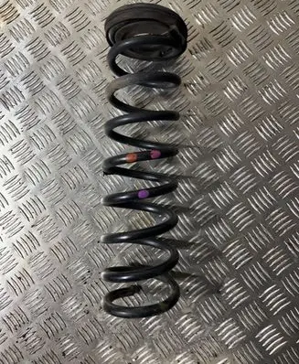 Ford Kuga II Rear coil spring
