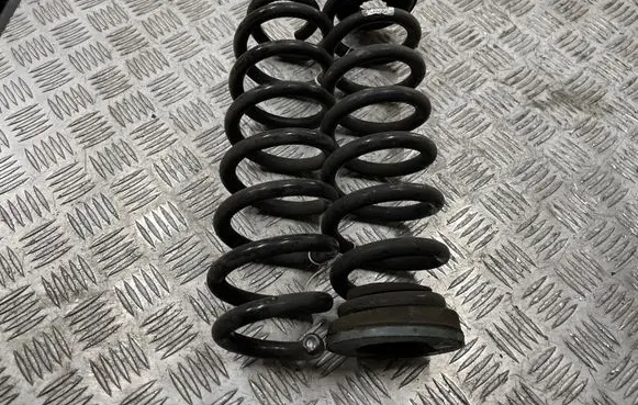 Opel Insignia B Rear coil spring