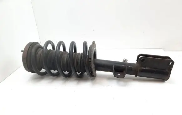 BMW X5 E53 Front shock absorber with coil spring 22194423 31316754341