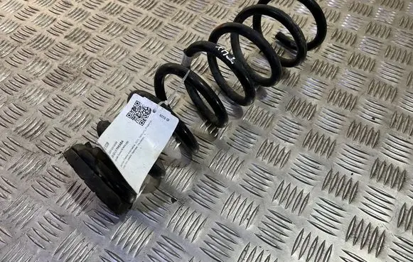 Rear coil spring