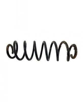 Rear coil spring