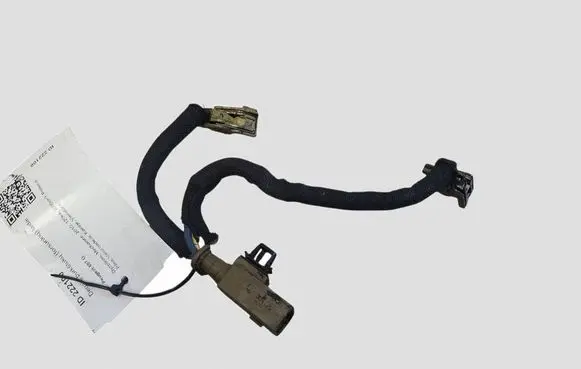 Peugeot 807 Fuel injector wires