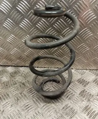 Rear coil spring