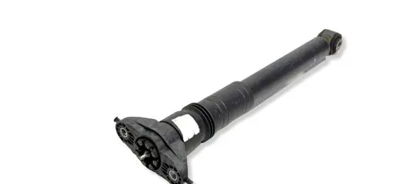 Citroen C4 III e-C4 Rear shock absorber/damper 9847556380 48881