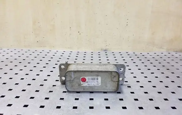 Tesla Model S Optional radiator 101954000C 102117900A