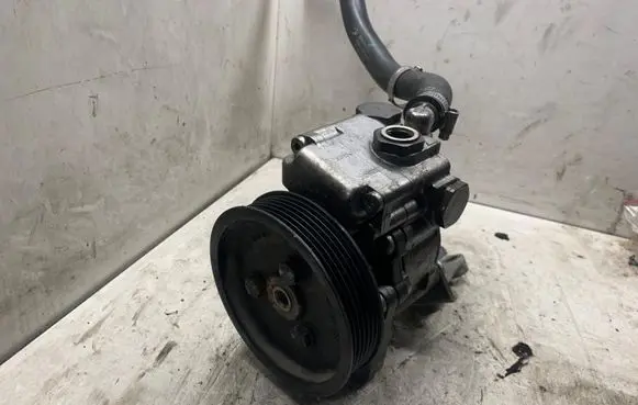 Electric power steering pump