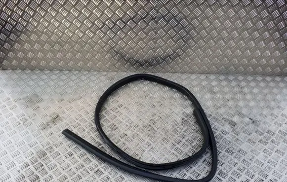 Rear door rubber seal (on body)