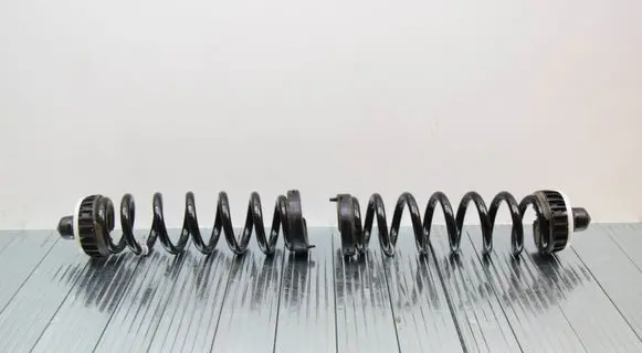 Rear coil spring