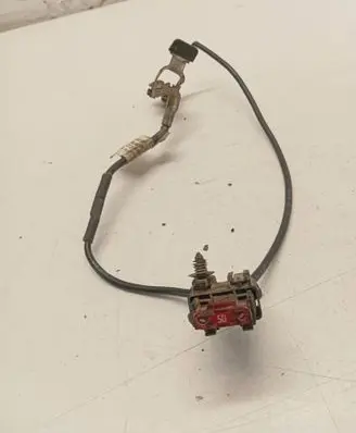 Other wiring loom