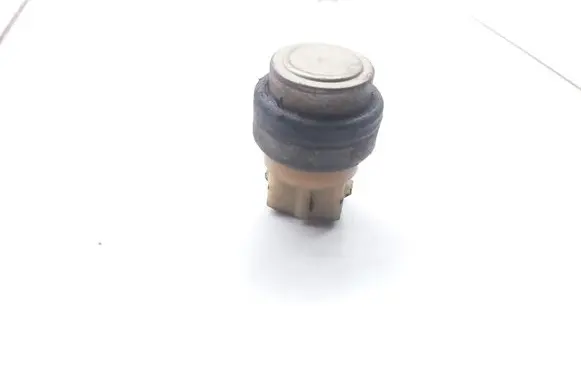 Volkswagen New Beetle Coolant temperature sensor 191919369A