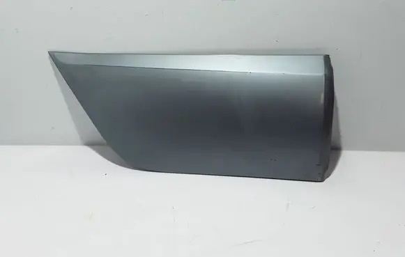 Renault Koleos I Rear door trim (molding) 82876JY00A