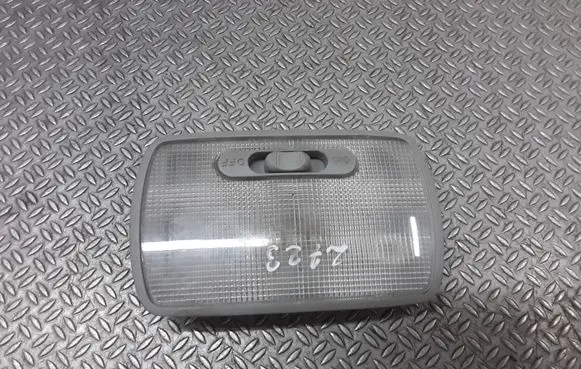 Rear seat light