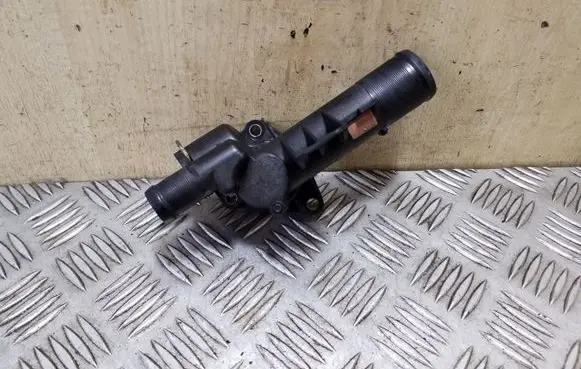Thermostat/thermostat housing