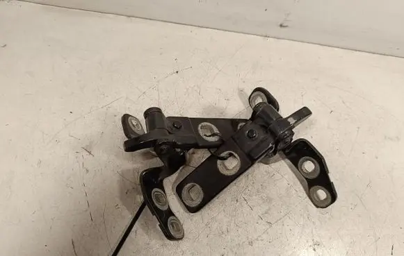 Tailgate/trunk/boot hinge