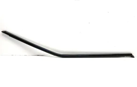 Volvo XC40 Rear door glass trim molding 31864029