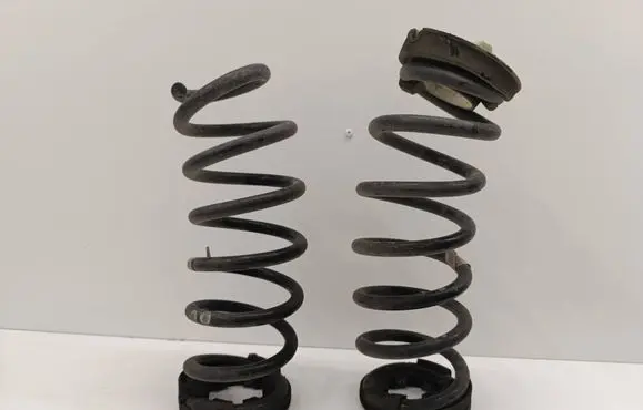 Rear coil spring