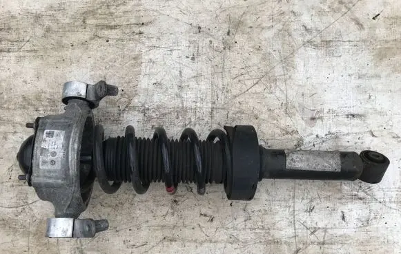Volkswagen Touareg II Rear shock absorber/damper 7P0512302