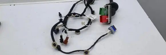 Citroen C3 Front door wiring loom 9815544380 A01001