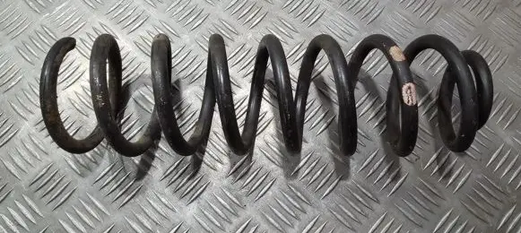Renault Megane II Rear coil spring