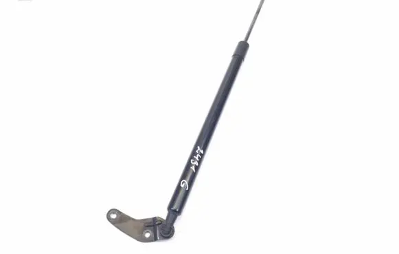 Tailgate strut