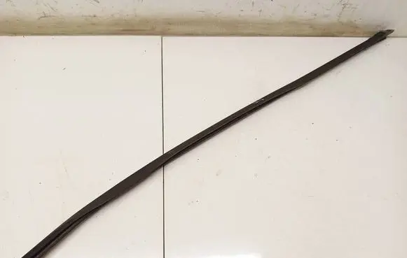 Ford Focus Front door glass trim molding 