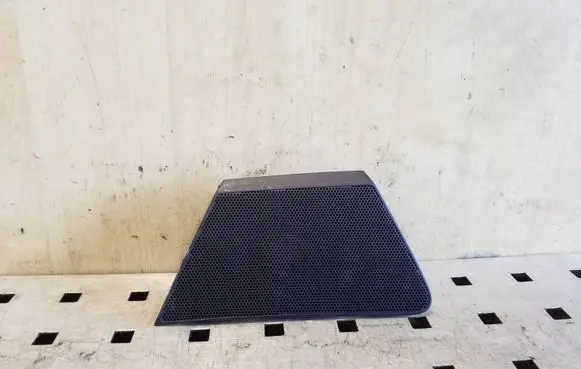 Panel speaker