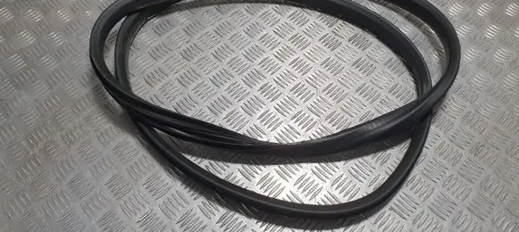 Dacia Jogger Front door rubber seal PU11915