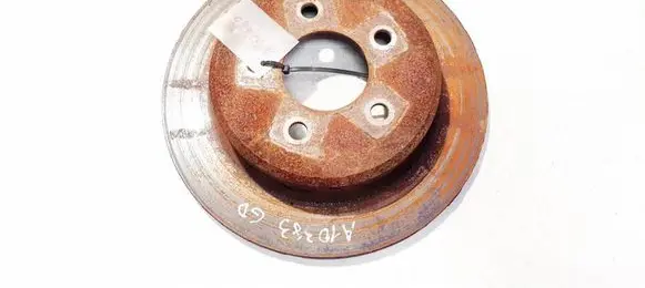 Chrysler Voyager Rear brake disc neventiliuojamas