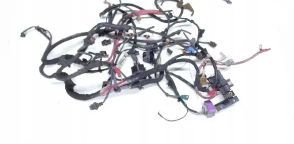 Renault Scenic III - Grand scenic III Engine installation wiring loom 420110672R