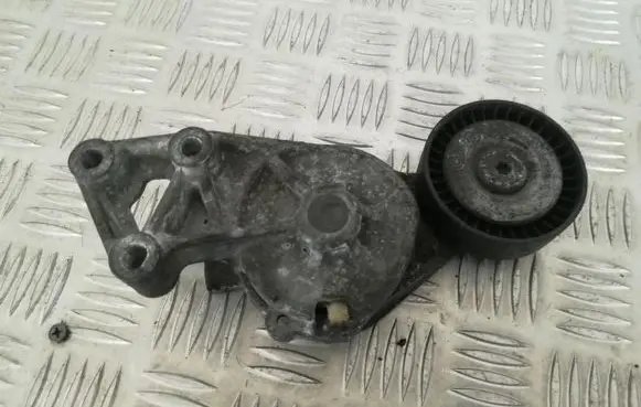 Seat Alhambra (Mk1) Generator/alternator belt tensioner 038903315f