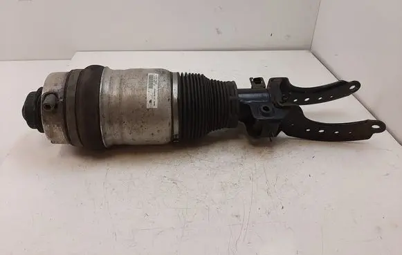 Porsche Cayenne (9PA) Air suspension front shock absorber 7L5412021BG