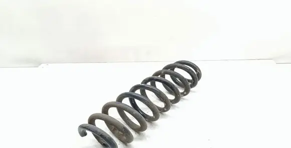 Rear coil spring