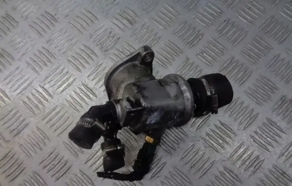 Thermostat/thermostat housing