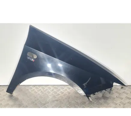 Seat Ibiza IV (6J,6P) Fender