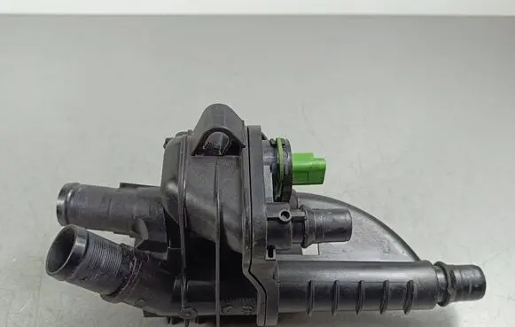 Thermostat/thermostat housing