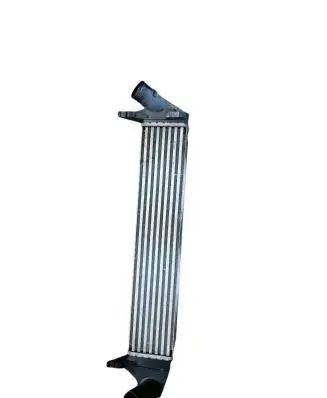 Dacia Sandero Intercooler radiator 8200409045