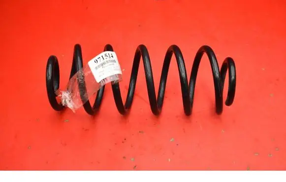 Rear coil spring