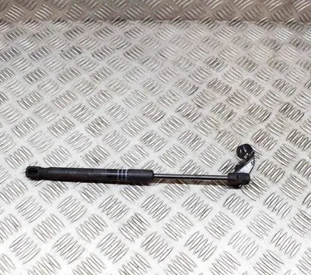BMW 6 F06 Gran coupe Front bonnet/hood damper/strut 7309117