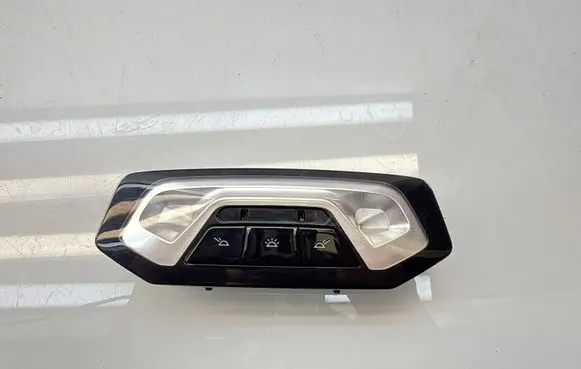 BMW 3 G20 G21 Rear seat light 791081301