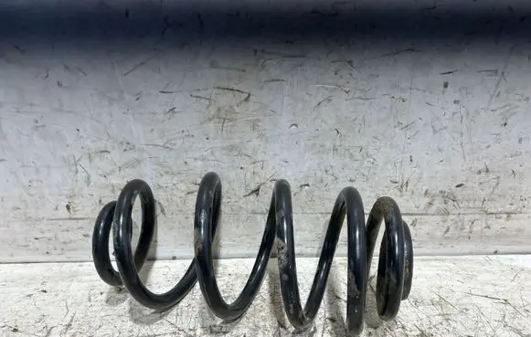 Opel Insignia A Rear coil spring