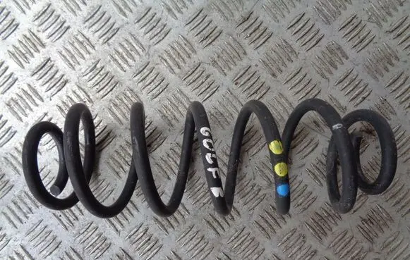 Rear coil spring