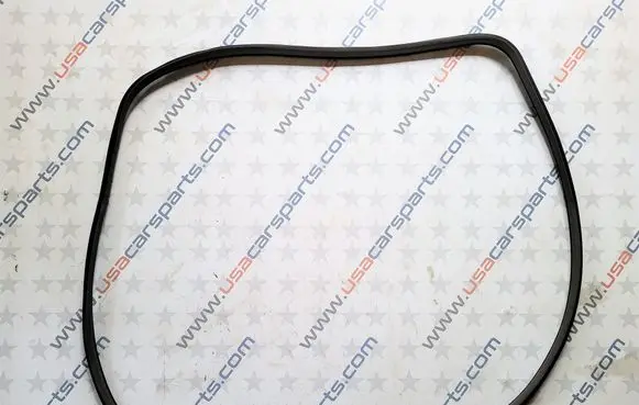 Nissan Leaf I (ZE0) Front door rubber seal 769213NA0A
