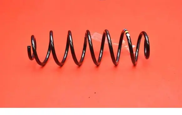 Rear coil spring