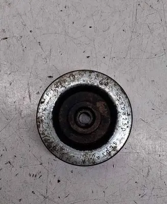 BMW 3 E46 Belt tensioner pulley 580825D
