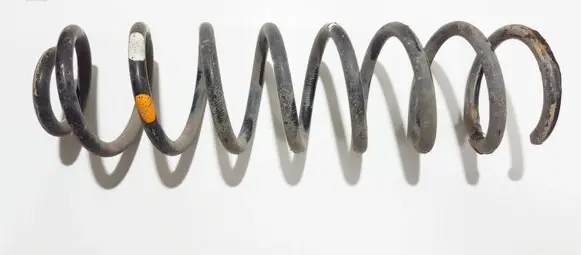 Rear coil spring