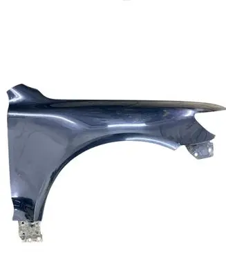 Volkswagen Touareg I Fender
