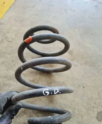 Rear coil spring