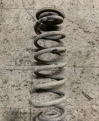 Volkswagen Golf Plus Rear coil spring