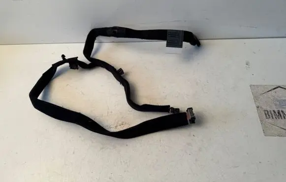 Other wiring loom