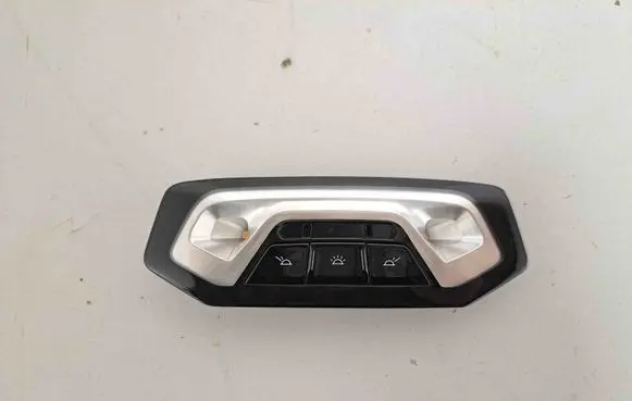 BMW X6 G06 Front seat light 7910813 9490431